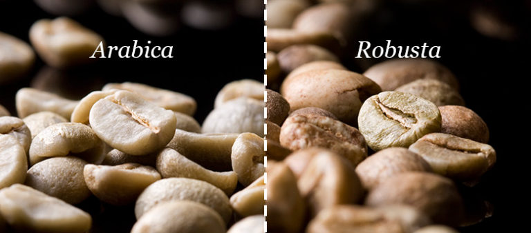 arabica robusta mokashop.ch